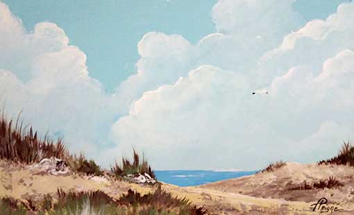 Dunes