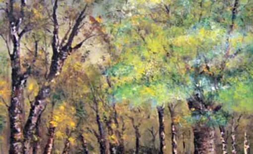 Sous-bois
